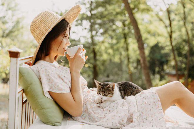 618猫粮推荐：十大适合肠胃不好猫咪的猫粮品牌推荐(图6)