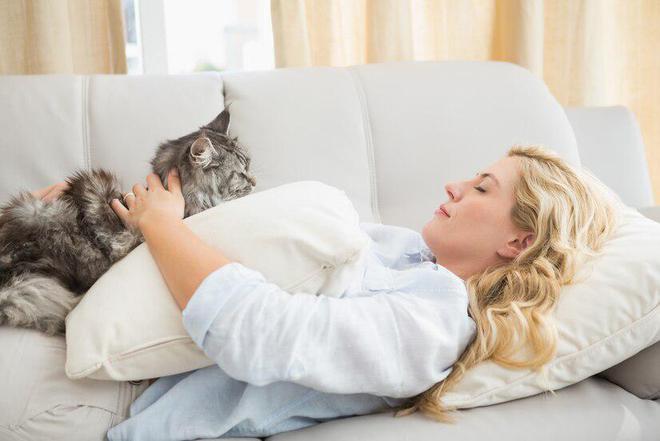 618猫粮推荐：十大适合肠胃不好猫咪的猫粮品牌推荐(图3)