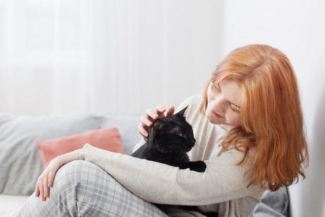 618猫粮推荐：十大适合肠胃不好猫咪的猫粮品牌推荐(图5)