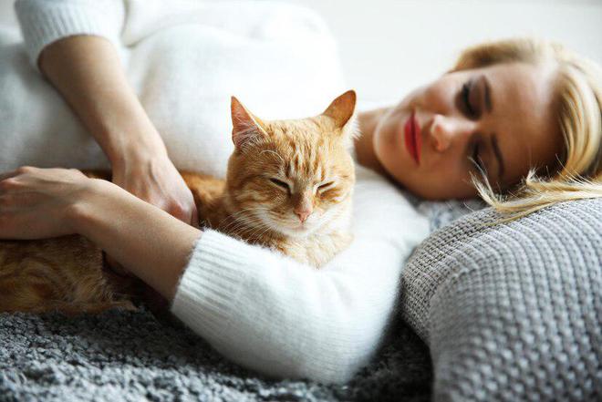 618猫粮推荐：十大适合肠胃不好猫咪的猫粮品牌推荐(图8)