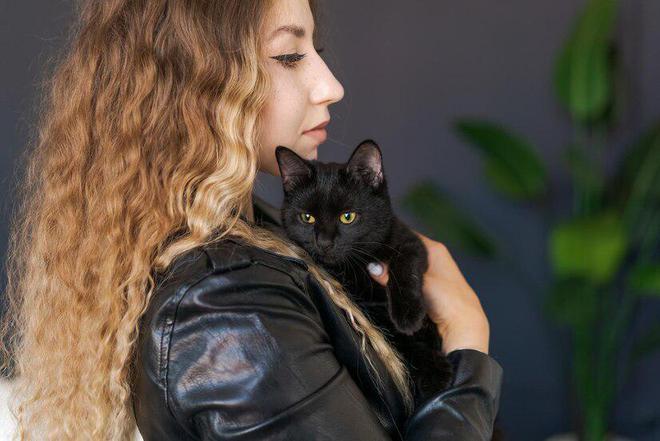 618猫粮推荐：十大适合肠胃不好猫咪的猫粮品牌推荐(图2)