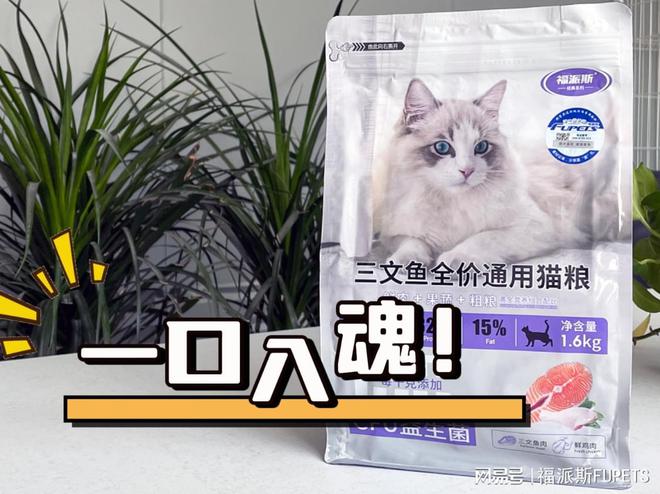 九游体育网站：铲屎官必看！福派斯鲜肉猫粮让猫咪健康成长的秘诀！(图4)