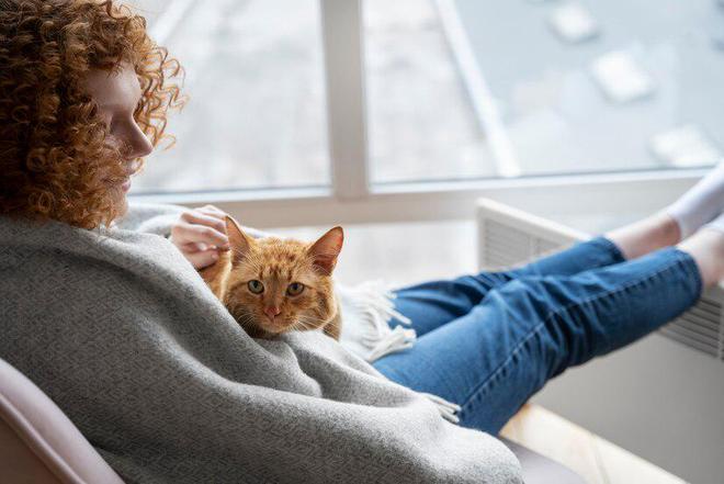 九游体育：618猫粮选购：有机猫粮和普通大不同！618教你囤(图3)