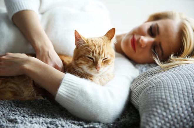 九游体育：618猫粮选购：有机猫粮和普通大不同！618教你囤(图2)