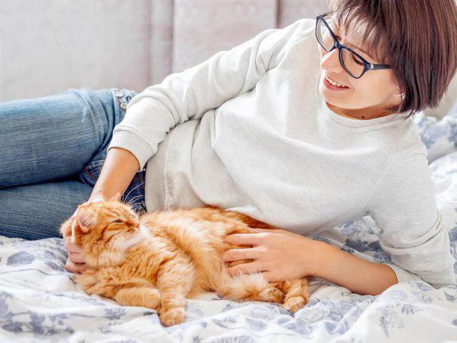 九游体育：618猫粮选购：有机猫粮和普通大不同！618教你囤(图5)