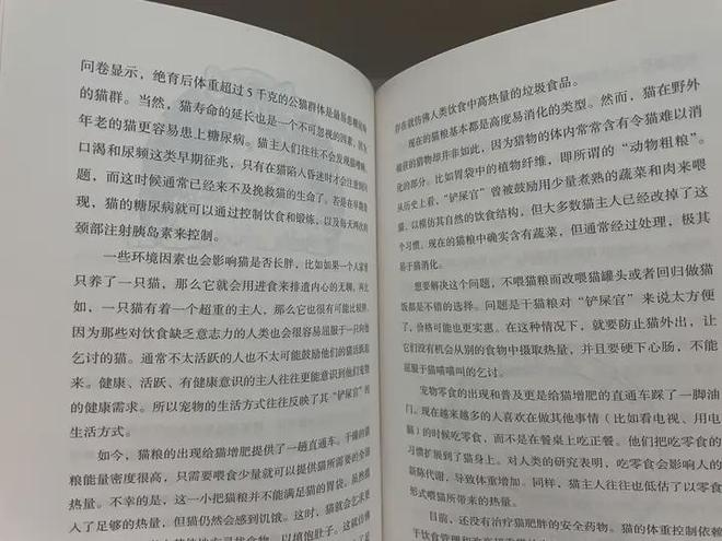 猫粮原理多《总有一天会养猫》攻略满满(图6)