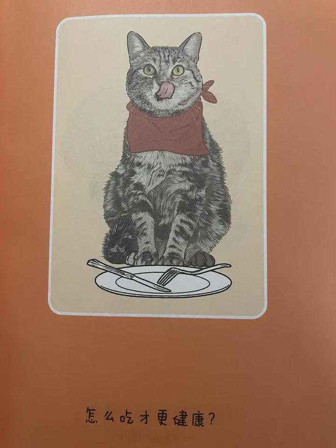 猫粮原理多《总有一天会养猫》攻略满满(图2)