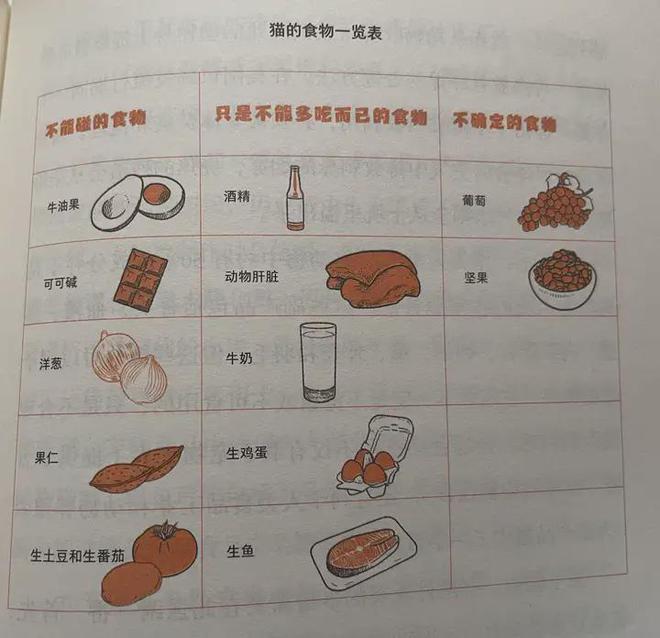 猫粮原理多《总有一天会养猫》攻略满满(图5)