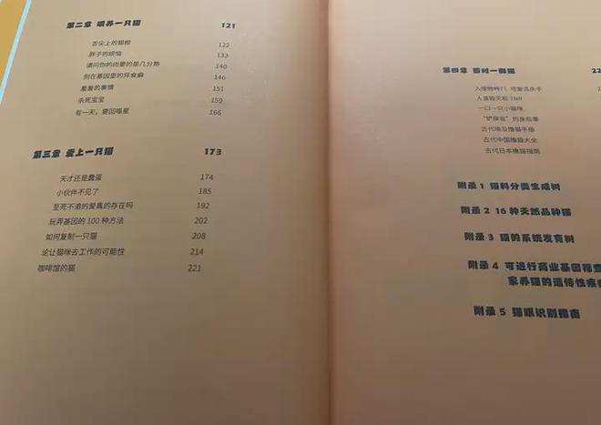 猫粮原理多《总有一天会养猫》攻略满满(图3)