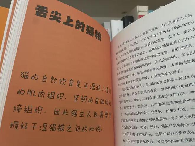 猫粮原理多《总有一天会养猫》攻略满满(图4)