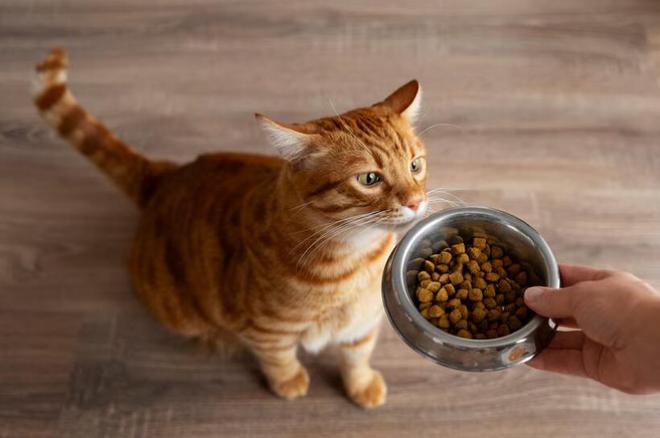 九游体育网站：笑宠猫粮质量怎么样？浅谈笑宠猫粮质量的特点和不足(图3)