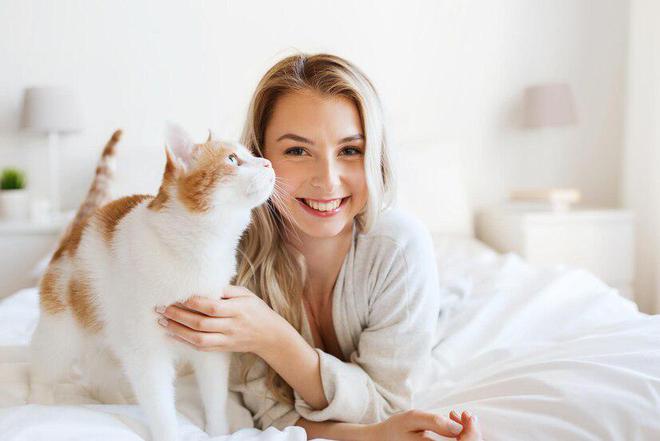 什么是全价猫粮？全价猫粮和普通有什么区别(图2)