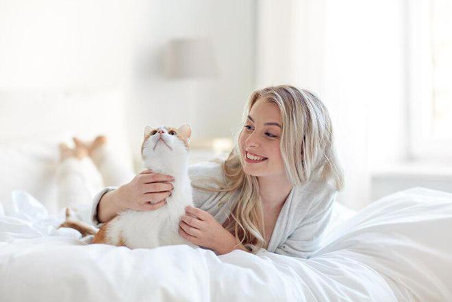 什么是全价猫粮？全价猫粮和普通有什么区别(图4)