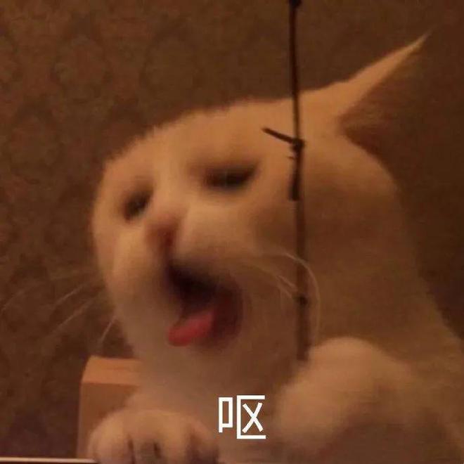 警告618前又送检到国产D猫粮！(图12)