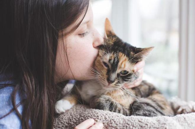 领先猫粮怎么样领先猫粮好不好？(图3)