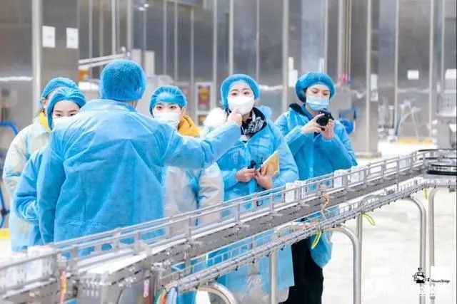 九游体育网站：宠物食品市场规模千亿替代国外品牌看20年老牌国货怎么做？(图13)
