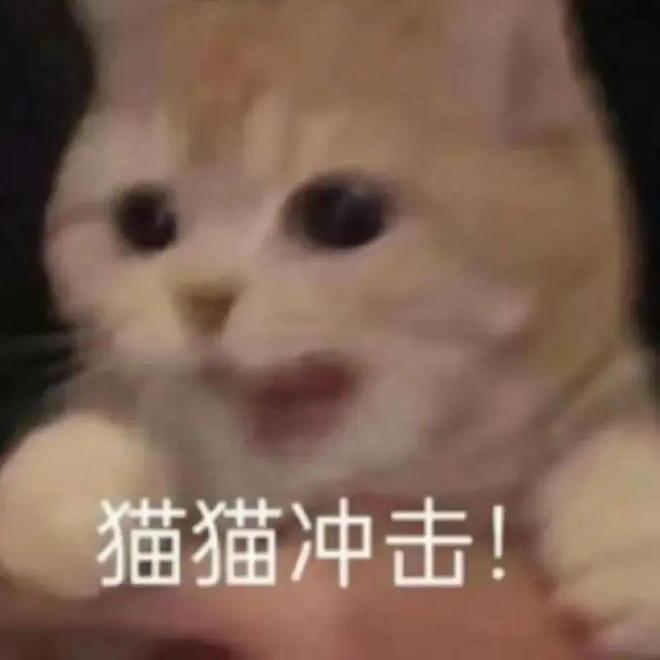 九游体育：宣布大事：我监制了一款低温烘焙猫粮！(图17)