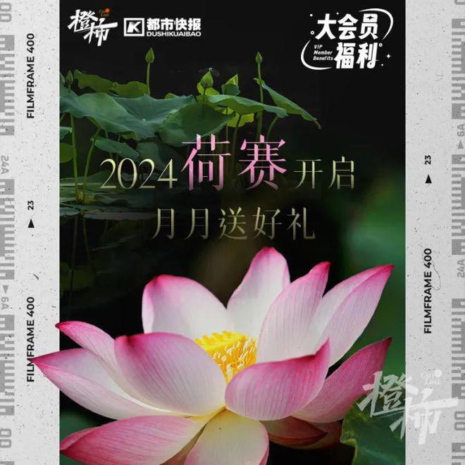 这些冷门宠物你养过吗？(图5)