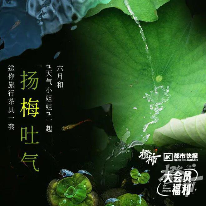 这些冷门宠物你养过吗？(图10)