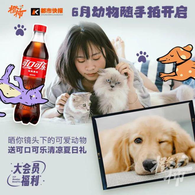 这些冷门宠物你养过吗？(图17)