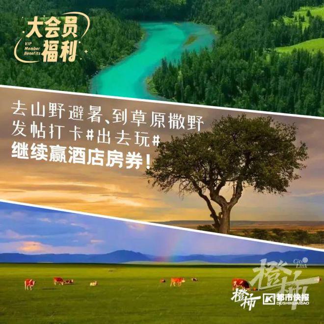 这些冷门宠物你养过吗？(图14)
