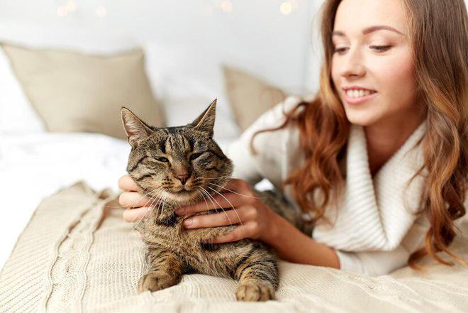 「618购物节特辑」猫咪瘦身秘籍：低卡路里猫粮大揭秘与选购推荐(图5)