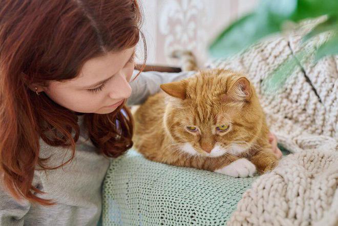 「618购物节特辑」猫咪瘦身秘籍：低卡路里猫粮大揭秘与选购推荐(图6)