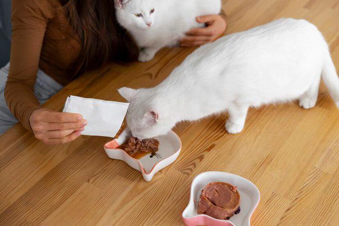 猫咪的健康守护者：全天然成分猫粮大揭秘与正确存储指南(图2)