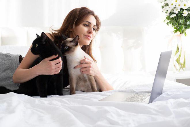 618猫粮选购：皇仕猫粮质量怎么样(图7)