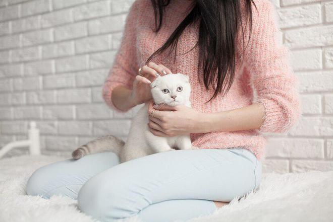 喂猫咪半湿猫粮需注意的十大事项你知道吗？(图3)