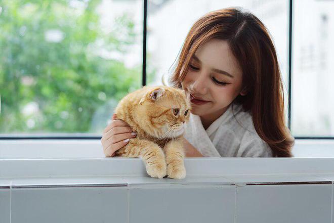 喂猫咪半湿猫粮需注意的十大事项你知道吗？(图8)
