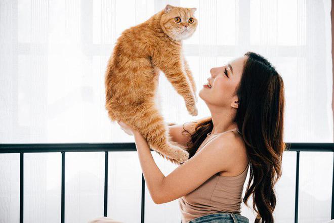喂猫咪半湿猫粮需注意的十大事项你知道吗？(图10)