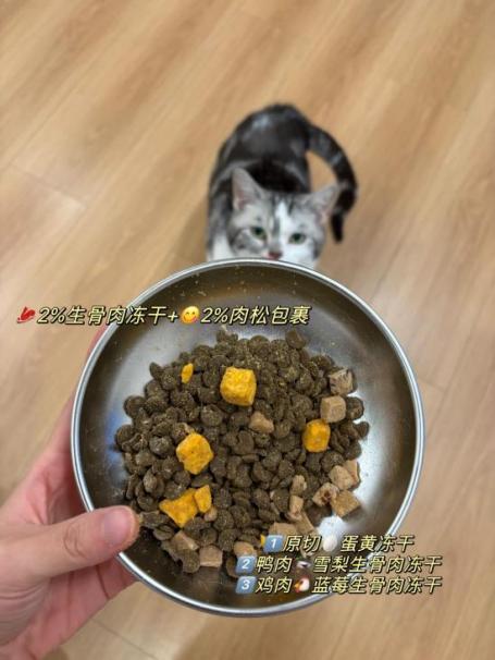 哪种猫粮比较好又不贵？给爱猫的主粮这样选(图3)