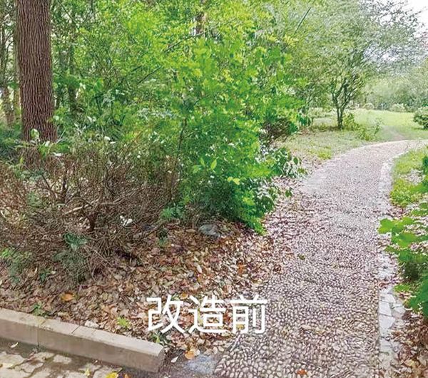 宝山区民心项目让居民“打钩”精准把脉居民需求！(图2)