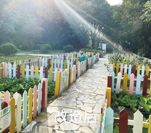宝山区民心项目让居民“打钩”精准把脉居民需求！(图5)