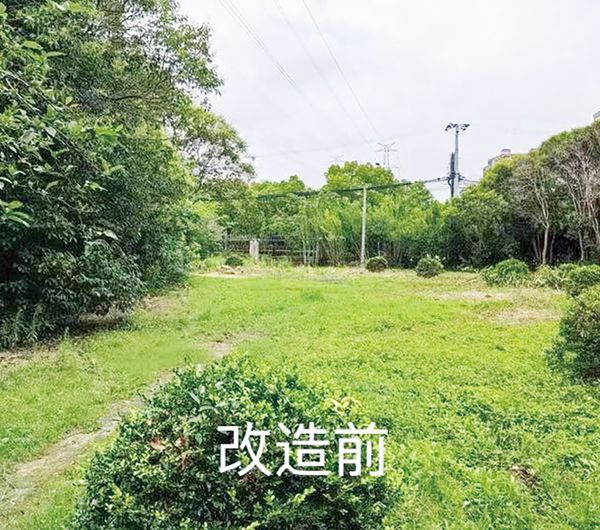 宝山区民心项目让居民“打钩”精准把脉居民需求！(图4)