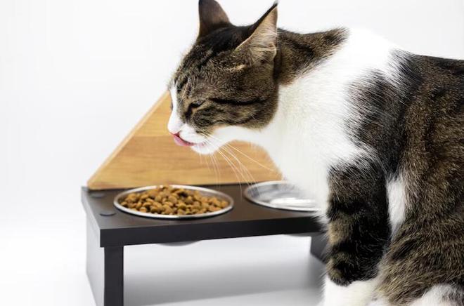 猫粮怎么选？怎么判断选择的猫粮是否适合猫咪的年龄和生活方式？(图5)