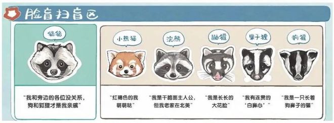 九游体育网站：上海60多个小区迎来TA！提醒：管好猫粮和湿垃圾(图3)