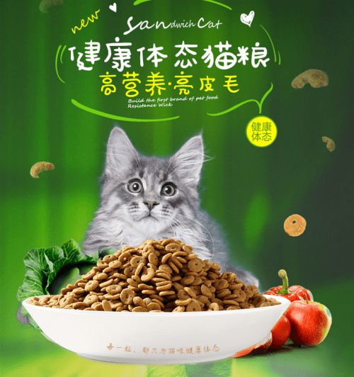 养宠路上耐威克猫粮提供全方位营养支持(图2)