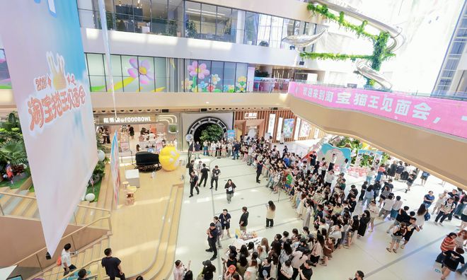 淘宝猫王出炉！猫咪“小小”成淘宝宠物代言猫获102万大奖(图4)