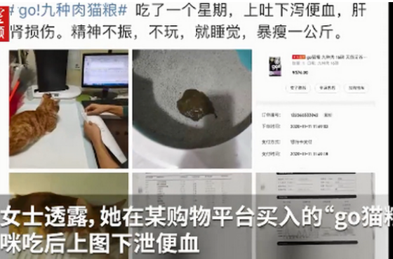 go猫粮被曝猫吃后中毒甚至死亡：已下架代理商：正在调查(图2)