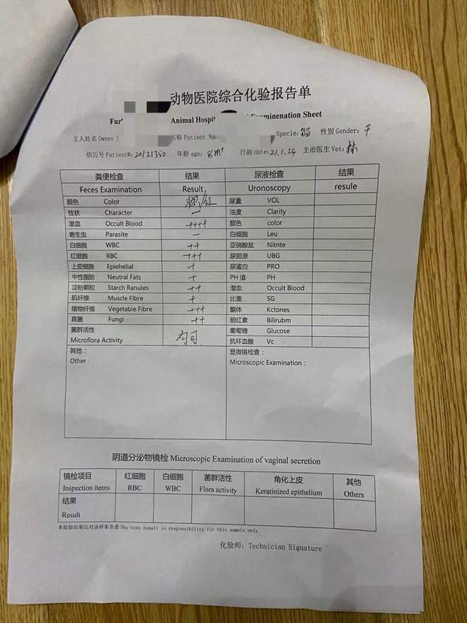 “GO！猫粮”深陷“有毒”风波小时记者独家探访宁波仓库：已收到大量退货(图3)