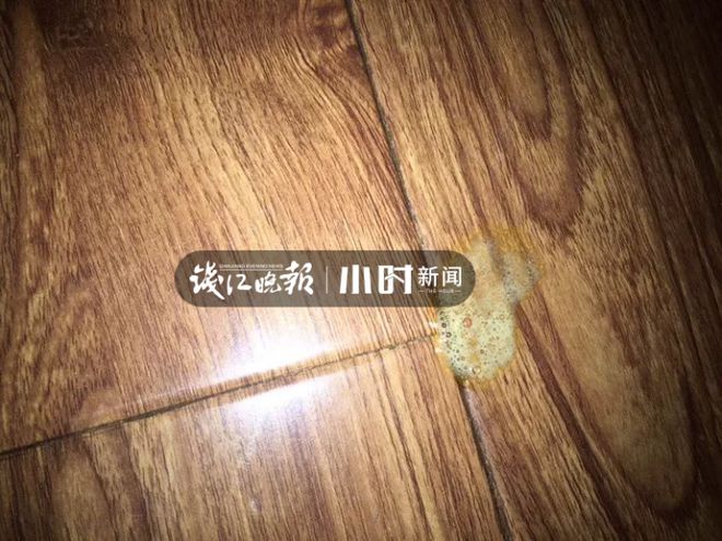 “GO！猫粮”深陷“有毒”风波小时记者独家探访宁波仓库：已收到大量退货(图4)