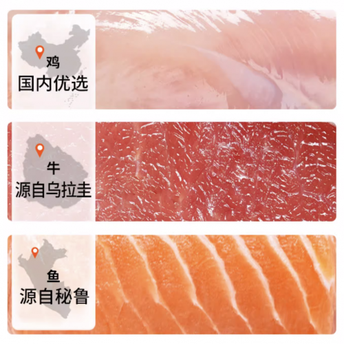 凯锐思猫粮口碑卓越揭秘成年猫咪营养之选(图2)
