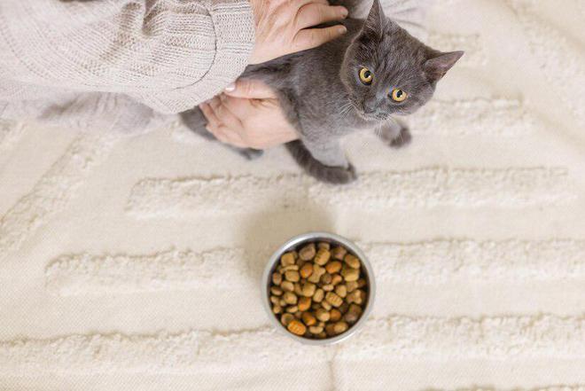 猫粮排行榜前十名口碑最好的猫粮(图6)