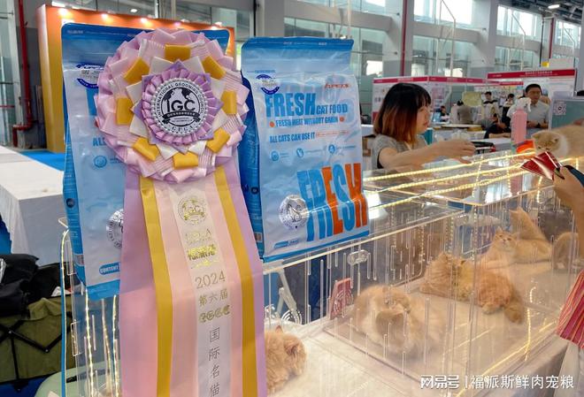 爱猫人士的天堂！福派斯杯名猫巡展揭秘猫咪世界的秘密！(图3)