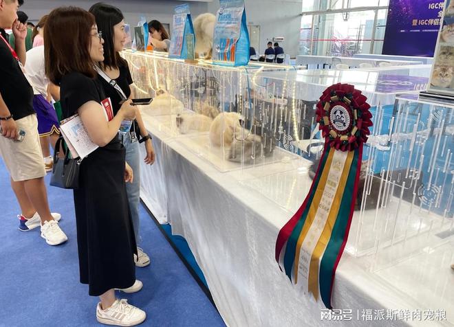 爱猫人士的天堂！福派斯杯名猫巡展揭秘猫咪世界的秘密！(图5)