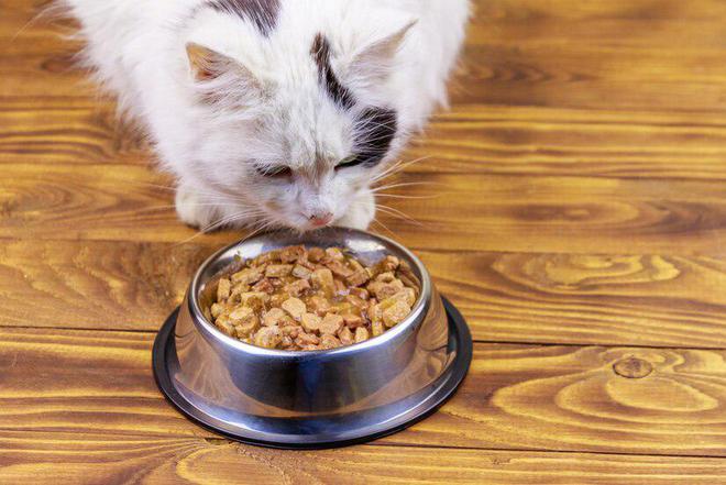 百利猫粮怎么样？百利猫粮好不好？(图3)
