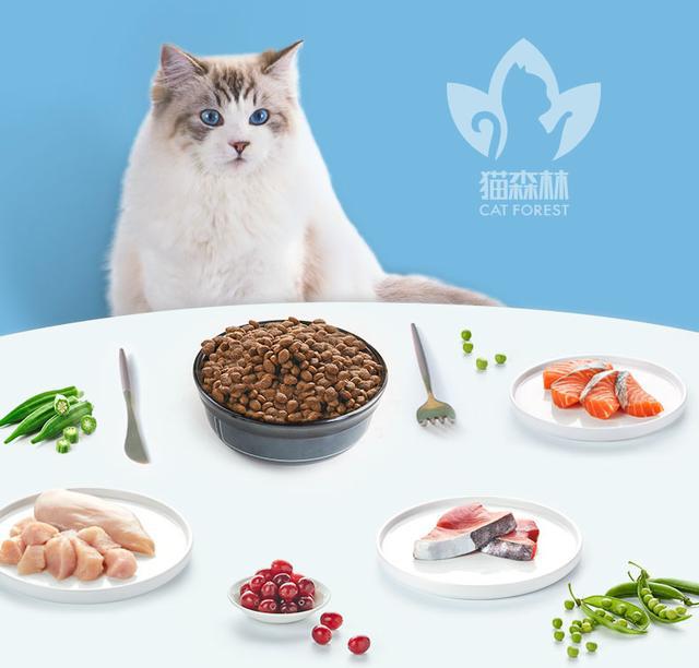 安全猫粮如何选？看了猫森林这篇就明白了！(图2)