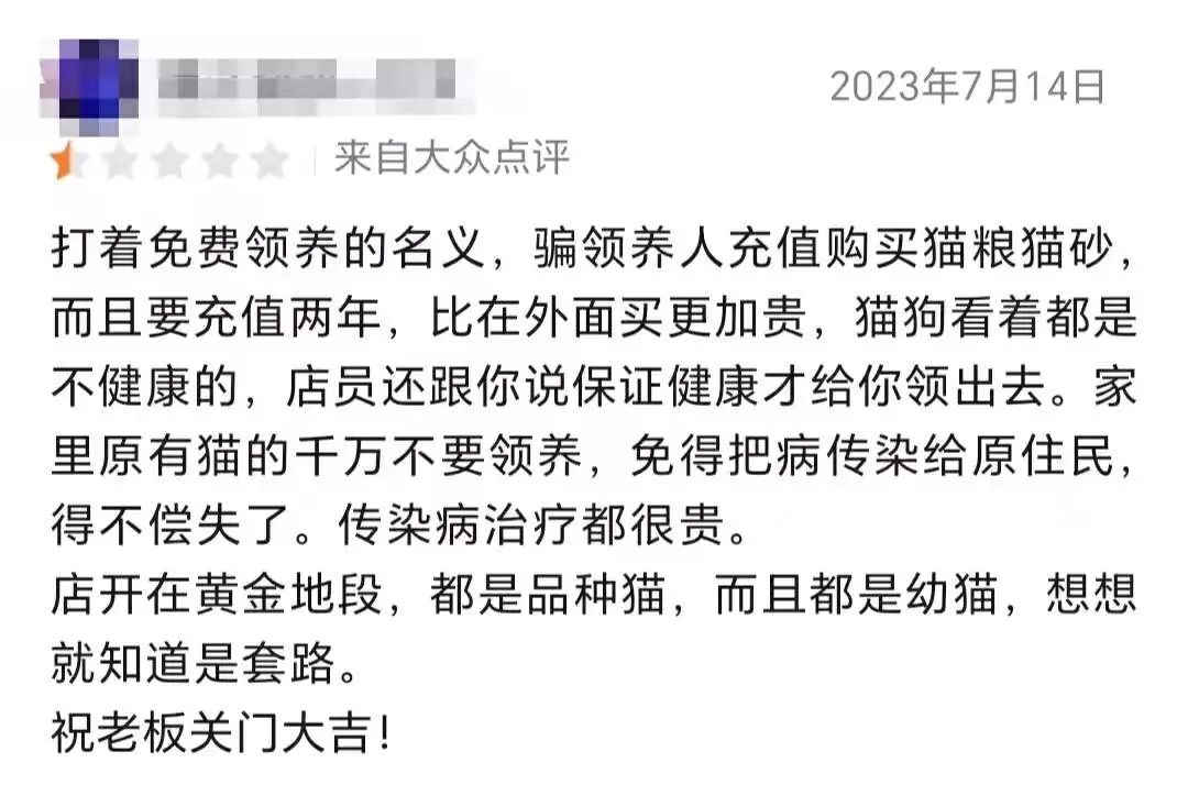 九游体育：免费领养品种猫我成了最大的冤种(图8)